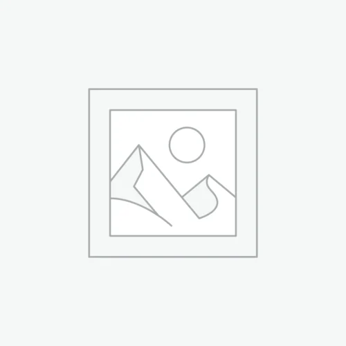 Read Example Article